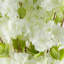Pack of 6 x 100cm White Blossom Stem