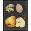 Art sur toile tendue par August Grove® Vision Studio, titré: Midnight Harvest IV-776072160