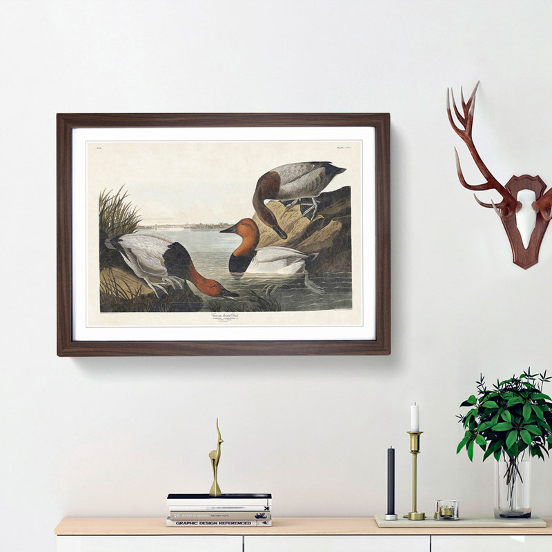 Canvas Backed Ducks by John Audubon - Picture Frame Painting Print, Walnut Framed, 27cm H x 36cm W x 2cm D