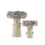 Oyster Shell Birdbath-72168461