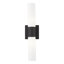 Cailum 2 Light Frosted Dimmable Vanity Light-2136842730