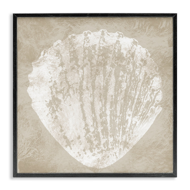 Rustic Distressed Seashell Framed Giclee Art by Carol Robinson, 12" H x 12" W, Midnight Black Framed Giclee