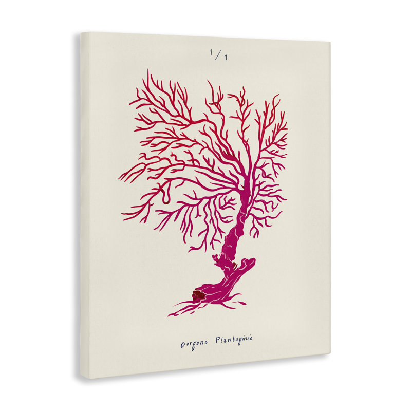  Art mural sur toile corail "Sea Fauna" par Marina Astudillo, H 30 po x l 24 po