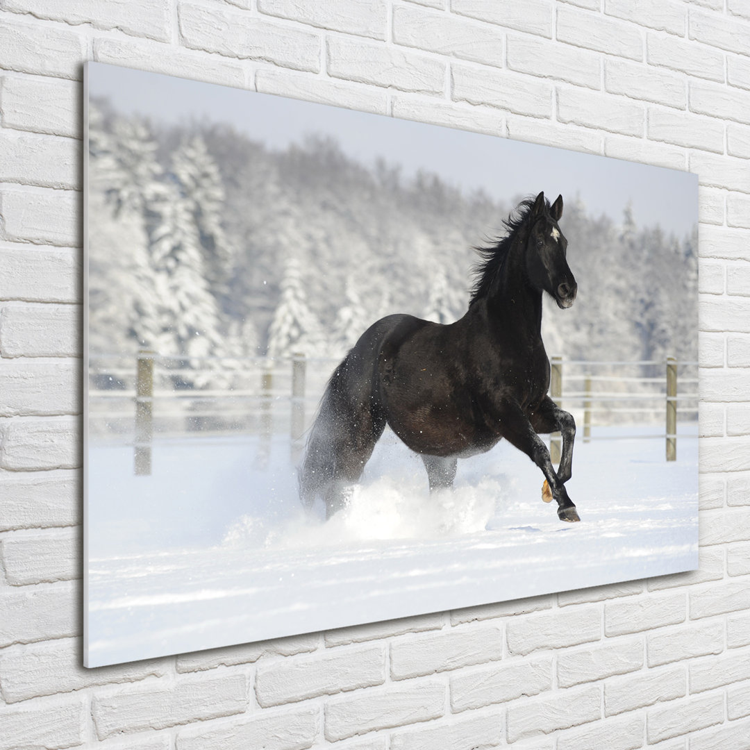 Glasbild Ein Pferd galoppiert im Schnee