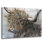  «Sweet Cow» par Kamdon Kreations, art mural en verre acrylique, 36 po x 24 po