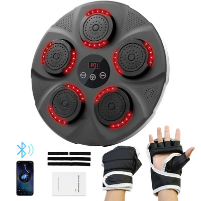 Machine de boxe électronique d'intérieur CATGOOD, cible de boxe murale Bluetooth avec gant pour enfants, jeunes et adultes