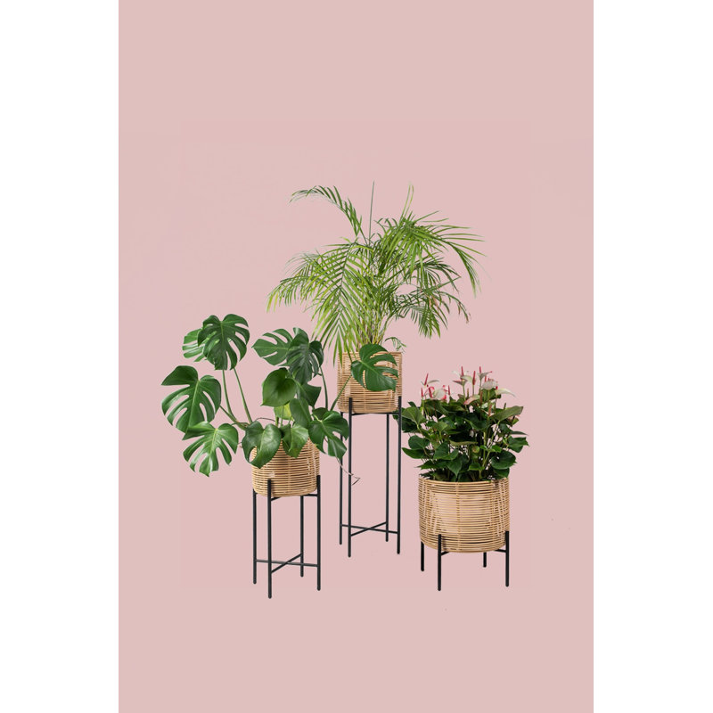 Vivi Plant Stand