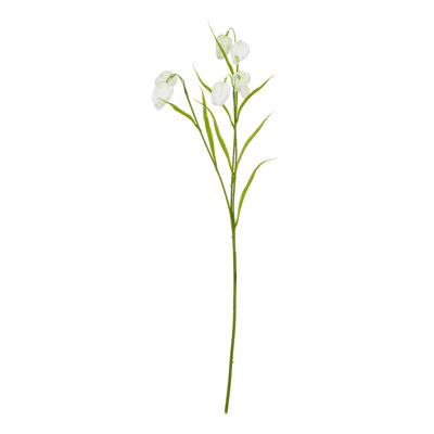 Anastasija Arrangement