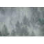 Misty Mood by Don Schwartz - Wrapped Canvas Print-1301303333