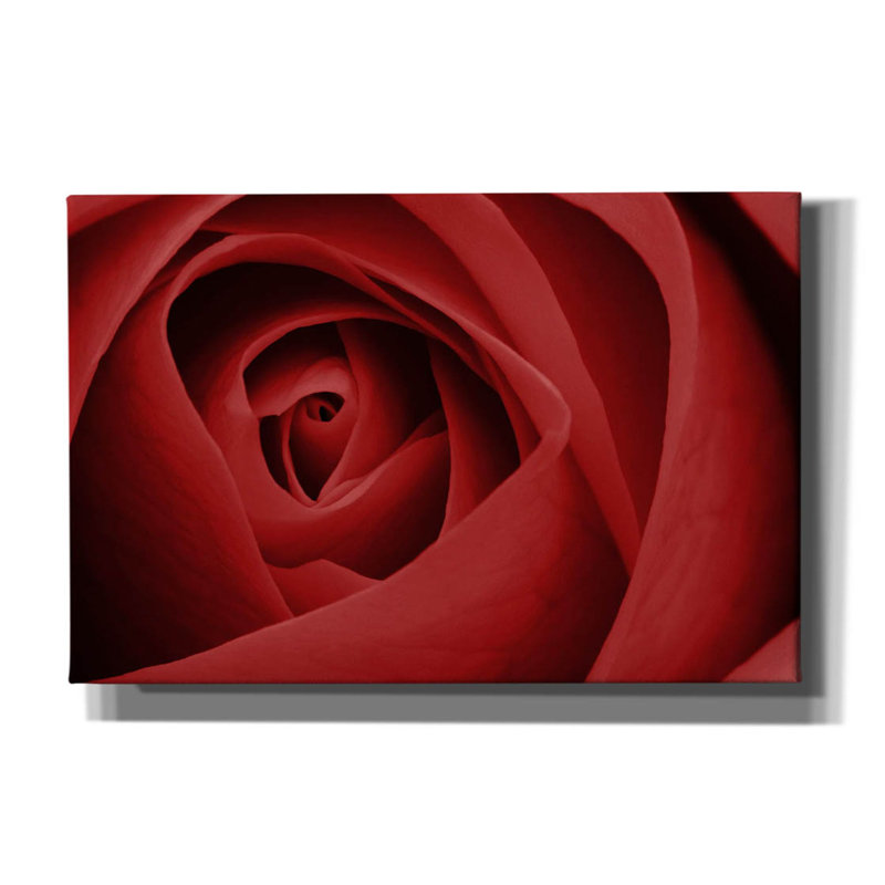 «Red Rose» par Tom Quartermaine, H 12 po x l 18 po x P 0,75 po