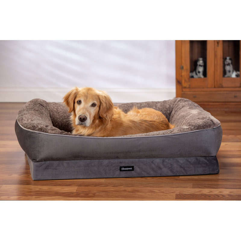 Lit pour animal de compagnie Beautyrest, Grand (l 42 po x P 34 po x H 11 po), Gris