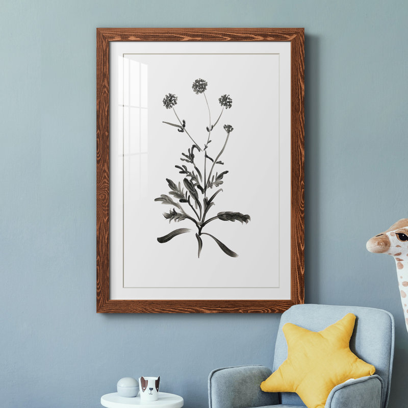 Inky Botanical I - peinture encadrée, H 44 po x l 31 po x P 1 po, Érable