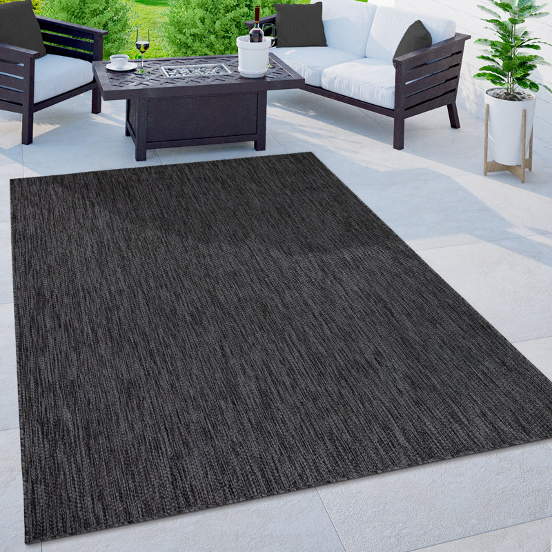 Iyana Machine Woven Indoor/Outdoor Area Rug , Rectangle 4'7" x 6'7"