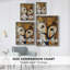 ANIMALS Series Lxxxix, reproduction encadrée - bois massif-576911531