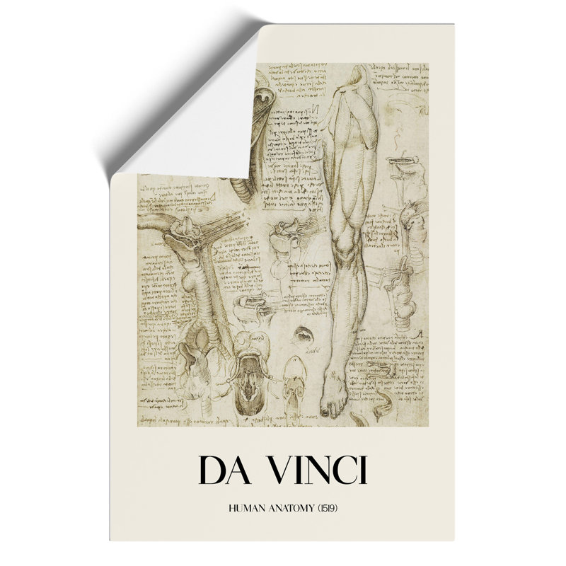 Human Anatomy Vol.7 by Leonardo Da Vinci - No Frame Print, 59cm H x 42cm W x 0.1cm D