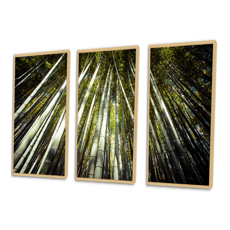 Longs bambous dans la forêt de bambous - ensemble d'art mural sur toile encadré forêt, H 20 po x l 36 po x P 1 po