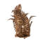 Fern 20" Table Lamp