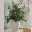 48" Artificial Eucalyptus Branch Stems