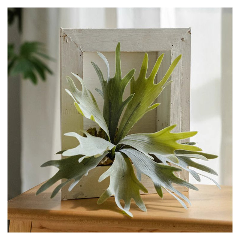 Fougère artificielle avec cadre en bois, H 14,17 po x l 12,9 po x P 7,8 po