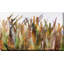 Quenouilles II - Peinture-1658811784-1658811826