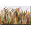 Quenouilles II - Peinture-1658811826-1658811784