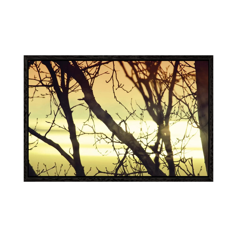Aspen Sunset I by Savanah Plank - Gallery-Wrapped Canvas Giclée on Canvas, 66.04 cm H x 45.72 cm W, Black Framed
