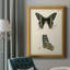 Butterfly Profile IV Butterfly Profile IV - Peinture sur toile encadrée-1315946580