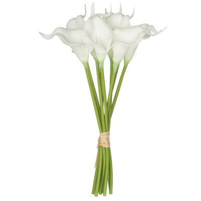 Calla Lily Bush