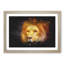 Lion Vol.4 - Picture Frame Graphic Art-62802646-62802649