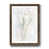 Papier, cadre noyer