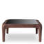 Coffee Table Quentin Oxidized Look Black Glass