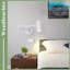 Shonie Iron Swing Arm Sconce