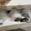 Photos des clients 1 de 2