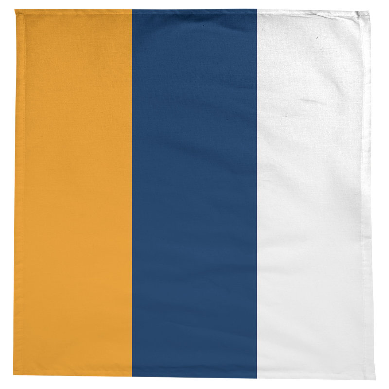 Nappe Basketball, Utah Basketball, or / bleu marine / blanc