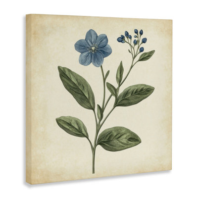 Vintage Blossoms Wildflower Canvas, design by Petal Prints Design