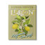 Citron vintage «Squeeze» par Andrea Jasid Grassi