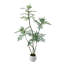 Plant-374589305