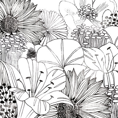 Contemporary Garden I Black And White by Michael Mullan - Wrapped Canvas Print