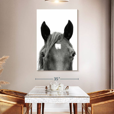 Brampt regardant un cheval en noir et blanc