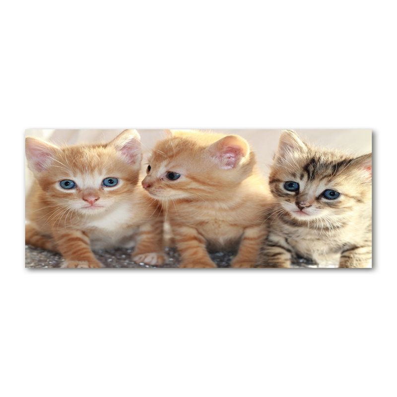 Small Cats - Wrapped Canvas Print