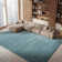 Mcevoy Aqua Area Rug
