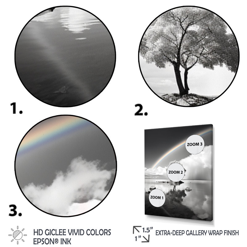 Arc-en-ciel arc-en-ciel sur un arbre I - impression, Cadre photo argenté, H 32 po x l 16 po x P 1 po