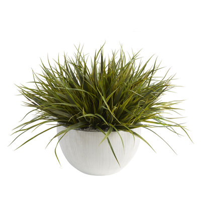 Herbe sauvage dans un bol blanc