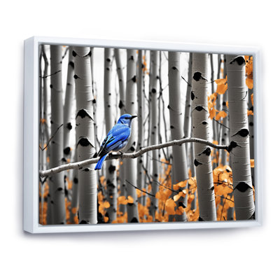 Bjarmi - oiseau bleu gris en forêt II - impression
