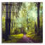 Art mural en verre Millwood Pines «Never the identique encore» par Dirk Wustenhagen-1652750597