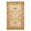 Oriental Area Rug in Beige