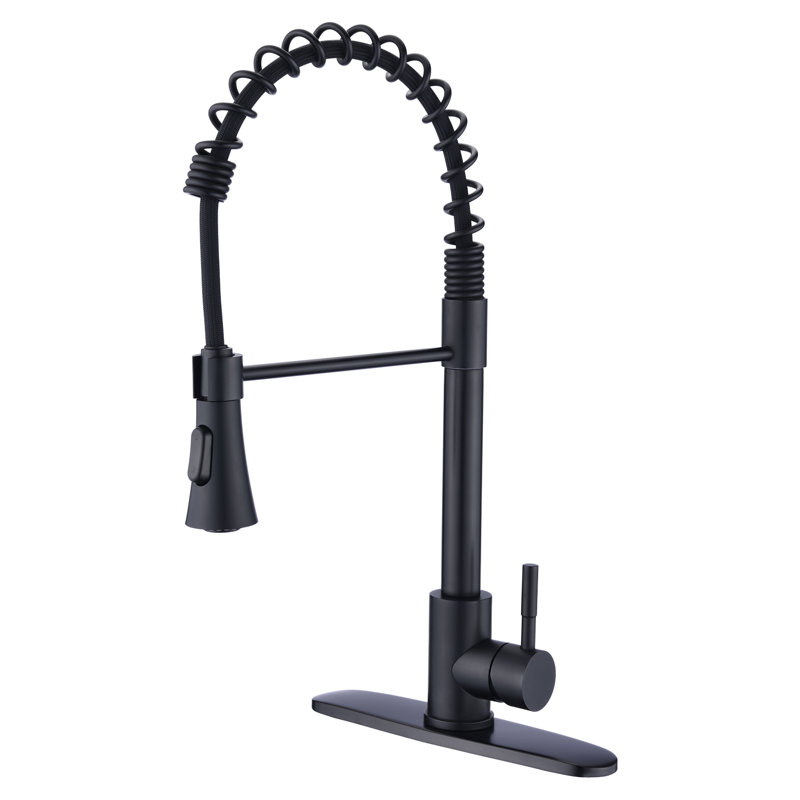 Robinet de cuisine à poignée simple avec accessoires