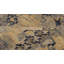 Tapis oriental multicolore 5 x 8