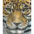 Image Brush Gel selected