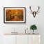 Heading into the Forest - Picture Frame Painting Print-56711984-56711986